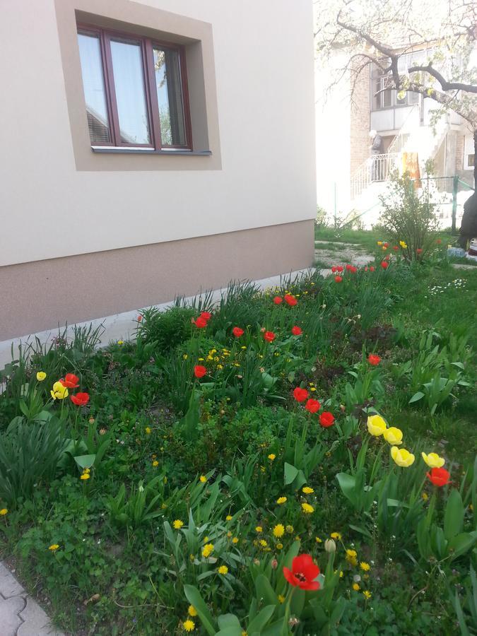 Sweet Dreams Apartment Arandjelovac Dış mekan fotoğraf